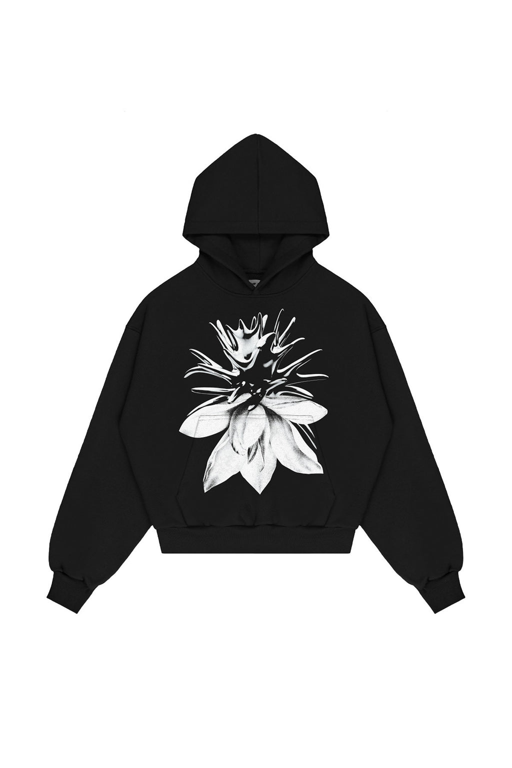 2e3478320a580925daf5e2324af2a06e