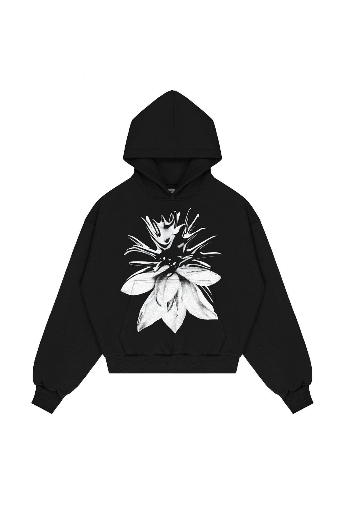 2e3478320a580925daf5e2324af2a06e