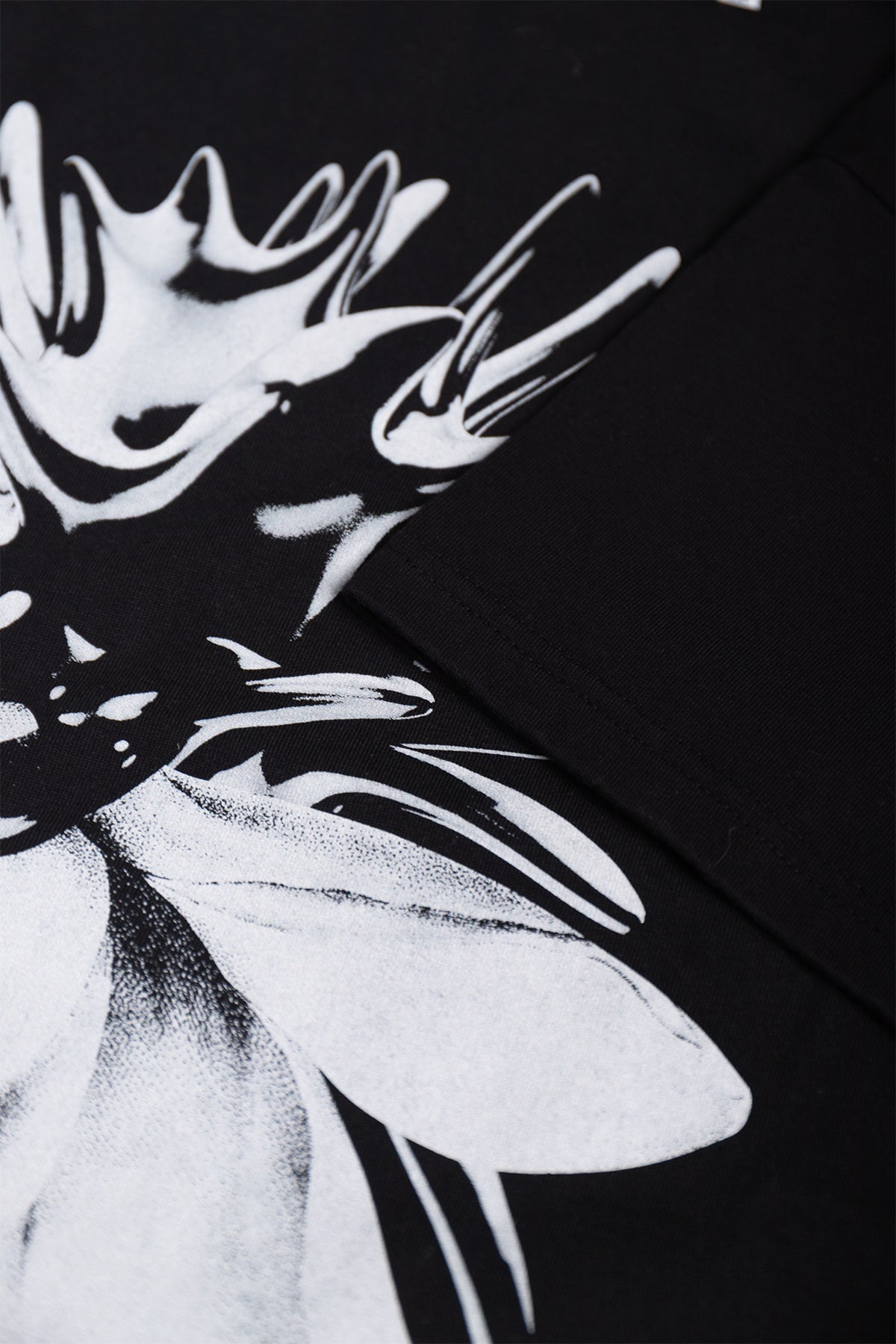 ca38ac19a56ff57f3469671a15b828ad